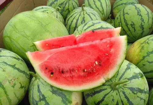 五一吃瓜今日必吃大瓜下一句是啥,揭秘今日必吃大瓜背后的惊人真相